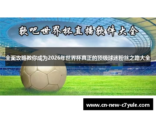 全面攻略教你成为2026年世界杯真正的顶级球迷粉丝之路大全