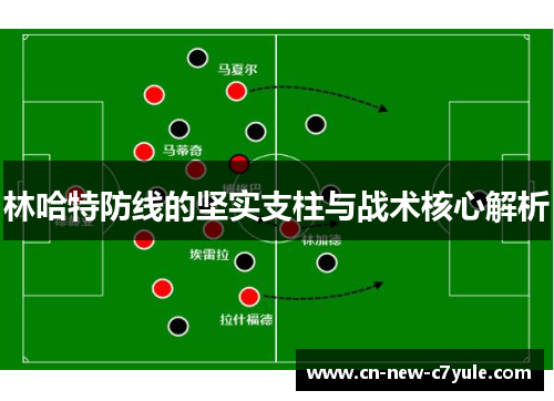 林哈特防线的坚实支柱与战术核心解析 林哈特防线的坚实支柱与战术核心解析