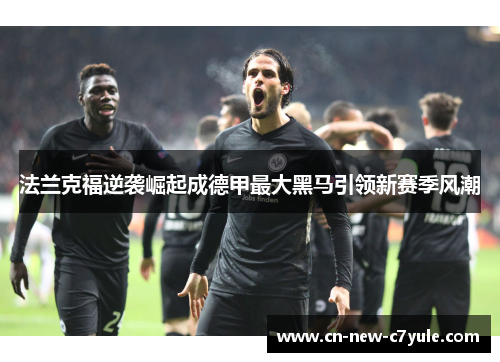 法兰克福逆袭崛起成德甲最大黑马引领新赛季风潮 法兰克福逆袭崛起成德甲最大黑马引领新赛季风潮